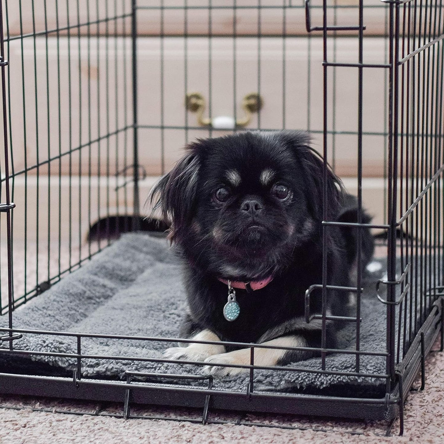 Self-Warming Cat Bed Pad – Reversible, Self-Heating Mat for Indoor & Outdoor Cats (21x17")